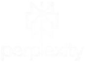 Perplexity